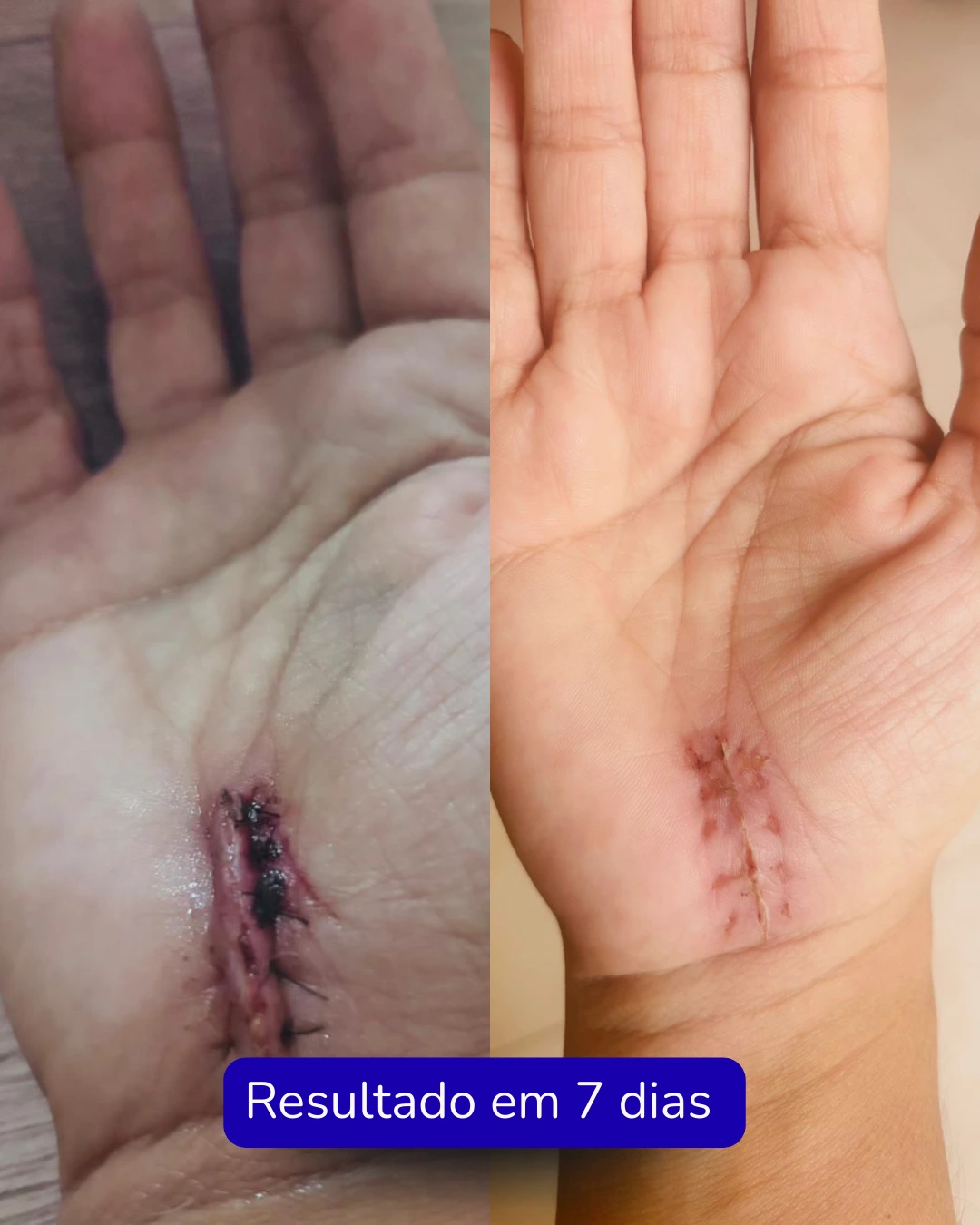 Texto do seu parágrafo (7)